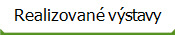 Realizované výstavy